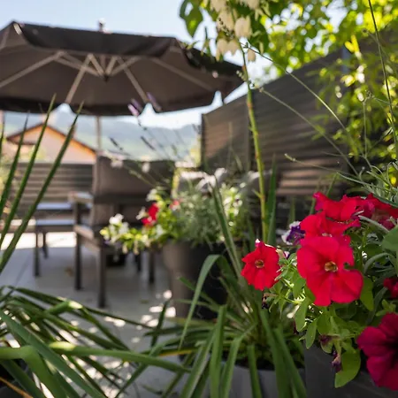 Amalfi Old Town Free Parking 公寓 塞拉耶佛