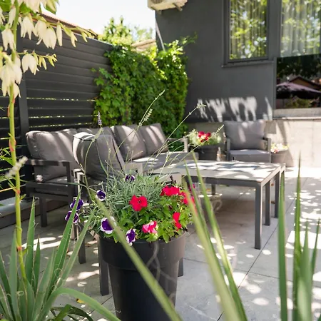 Amalfi Old Town Free Parking 公寓 塞拉耶佛