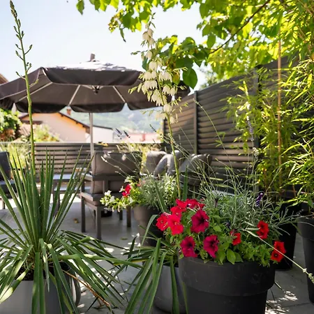 דירה Amalfi Old Town Free Parking *